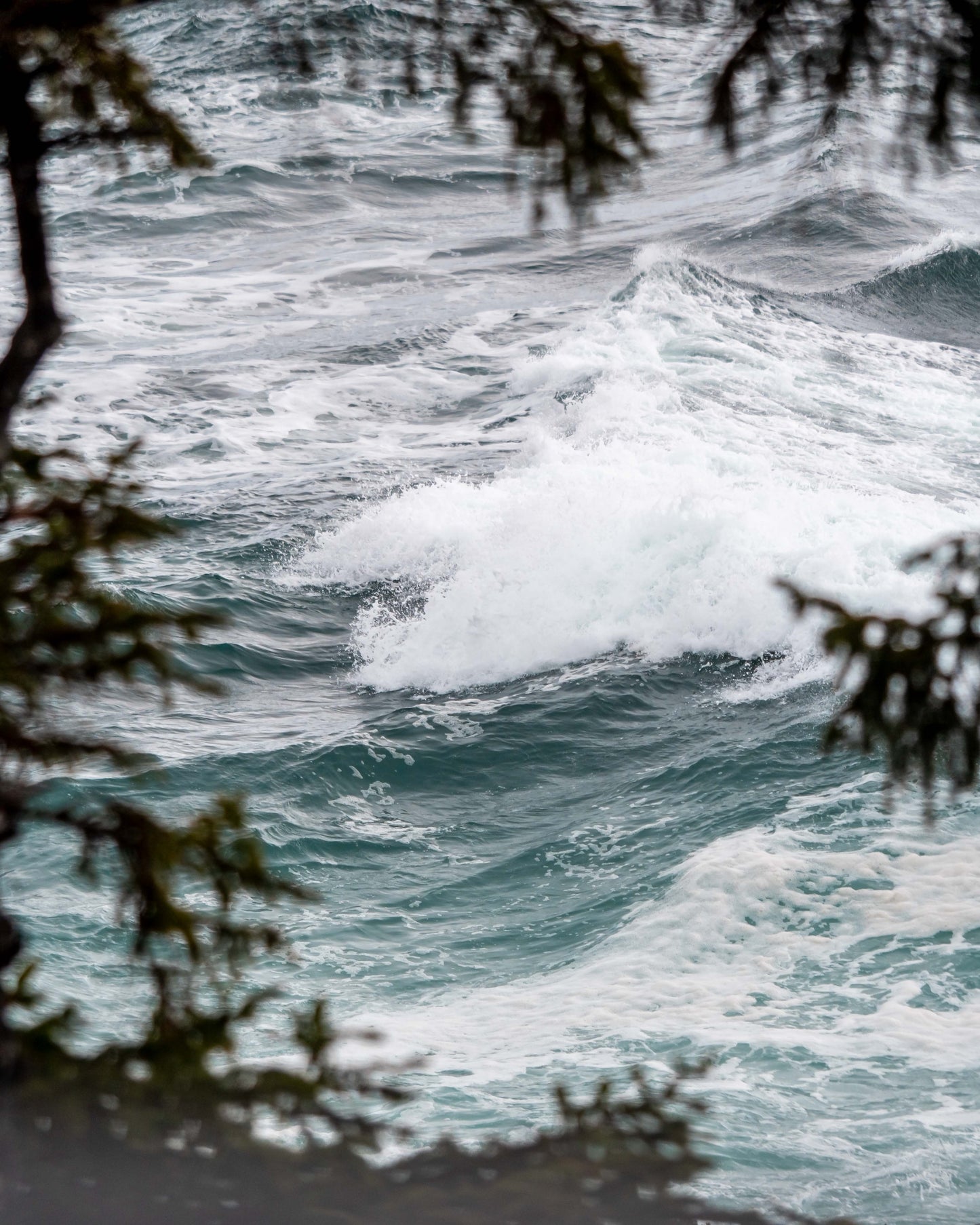 UCLUELET - REFILL