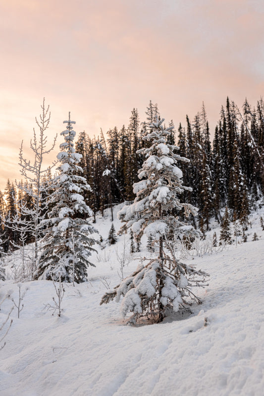 SILENT EMBER | Holiday Candle