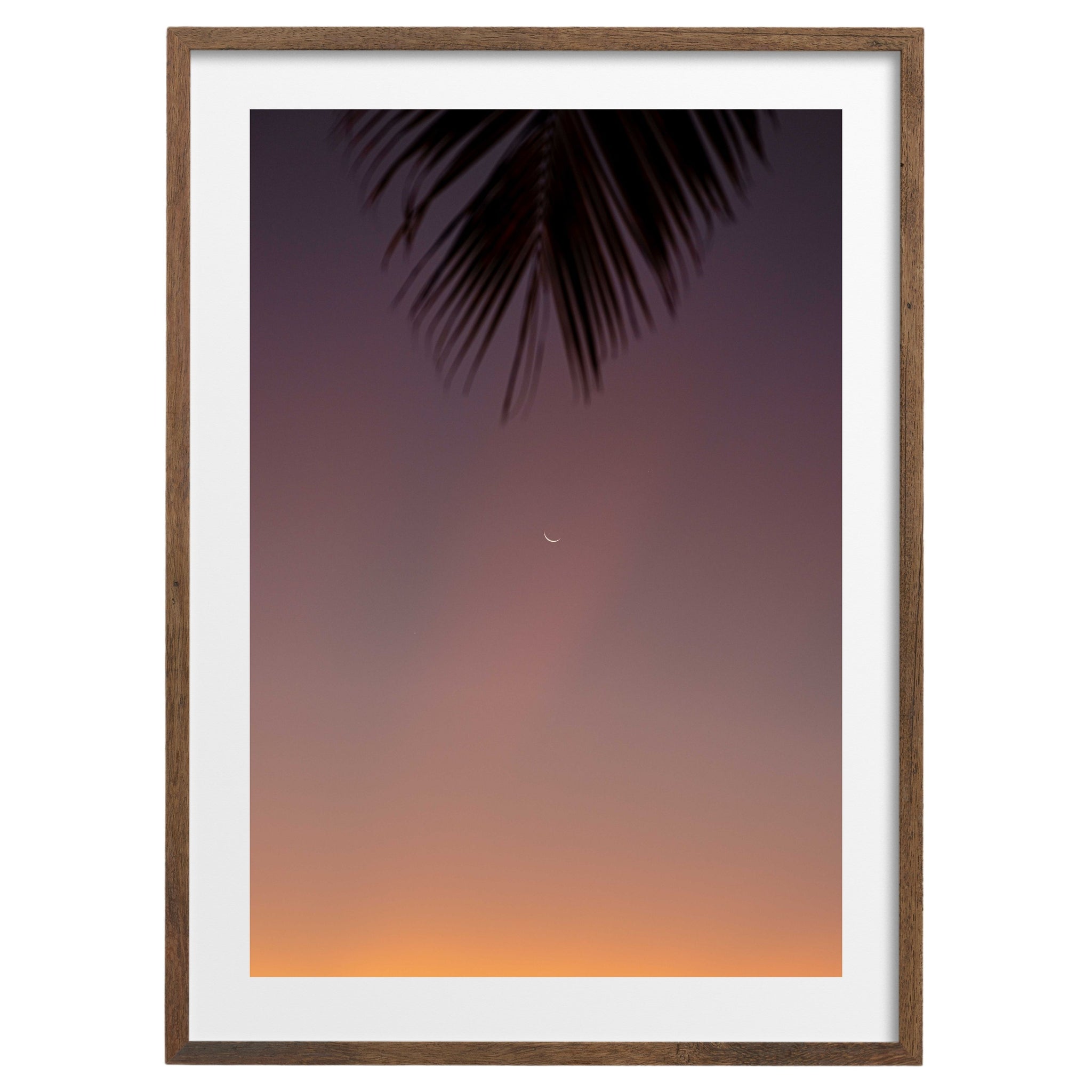 MOONRISE | Print