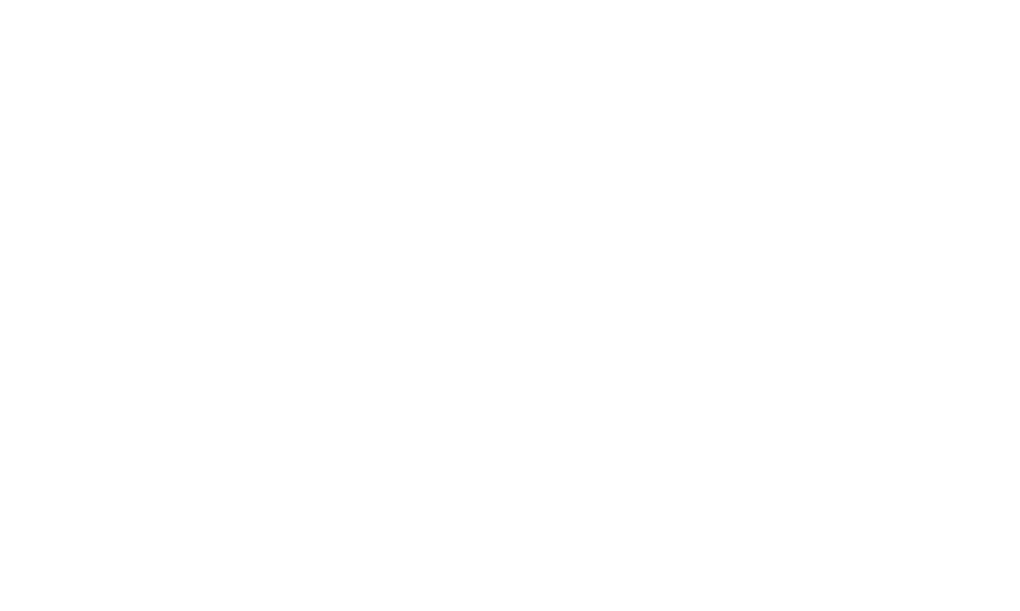 ROAM The Brand