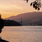 ROAM Vancouver Candle Pics-14.jpg__PID:1b31e79c-67f3-42a9-8b9c-eb5b56783e89