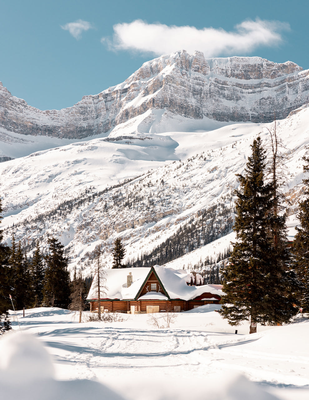 O CHRISTMAS TREE | Holiday Candle